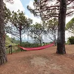 Piemonte, 3 Camere, 3 Bagni, E Splendida Vista Mare! By Alfareal * Castiglione della Pescaia